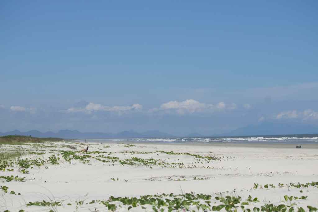Praia deserta da Ilha de Superagui