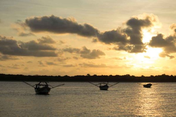 Conheça a isolada e surpreendente Ilha de Superagui no litoral paranaense.