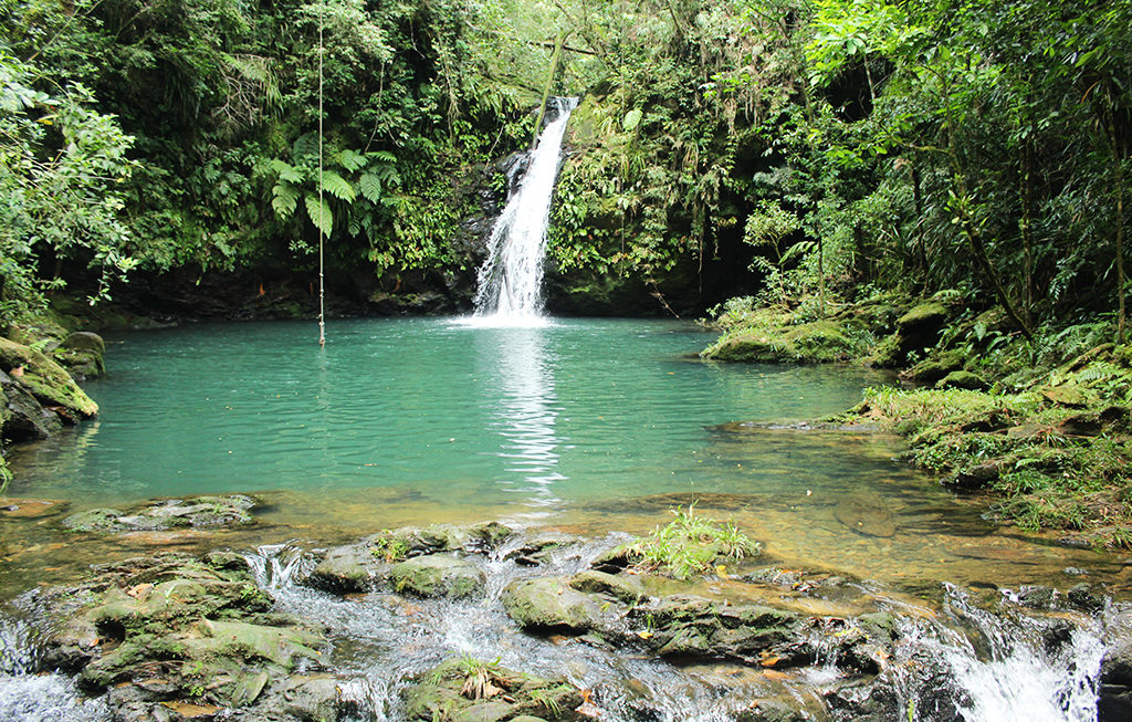 Conheça a Reserva Ecológica do Sebuí e suas cachoeiras de águas cristalinas.