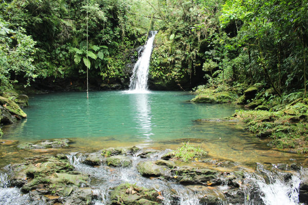 Conheça a Reserva Ecológica do Sebuí e suas cachoeiras de águas cristalinas.
