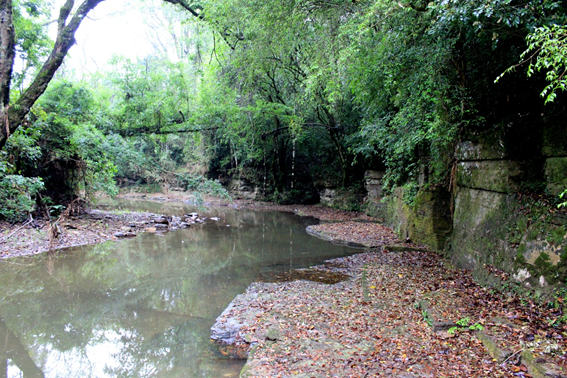 Riacho Rio Lambari em Sapopema